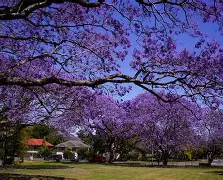 *y楹勻Us$S愑炀迊郾獕儖>?墝醚9S▓?g4躎?祔的简单介绍-玖鼎网页版